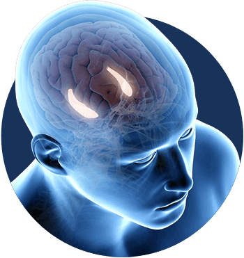 billionaire-brain-wave-programs